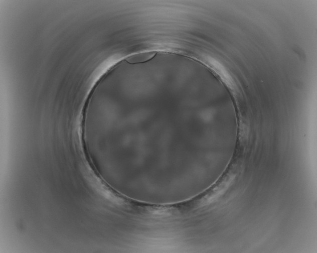 X0000112070899200908111430