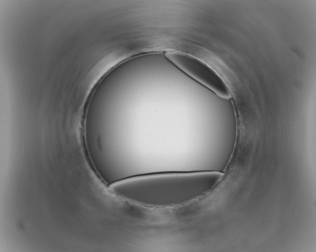 X0000112070901200908111430