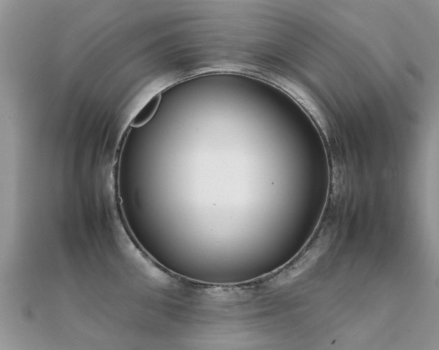 X0000112070906200908111430