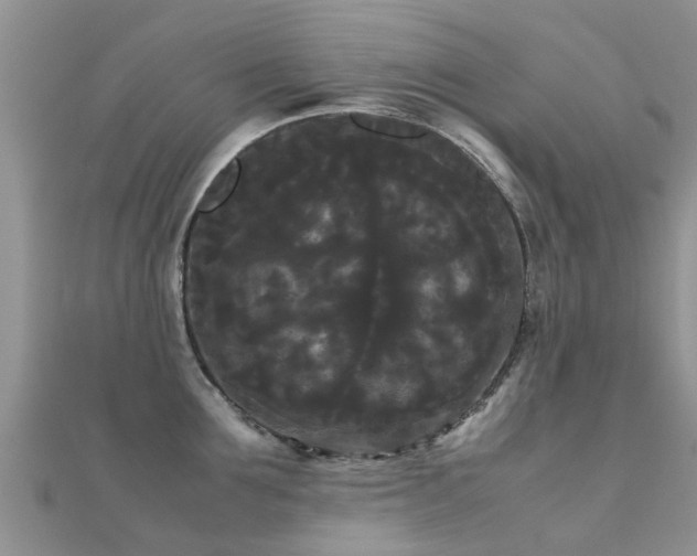 X0000112070907200908111430