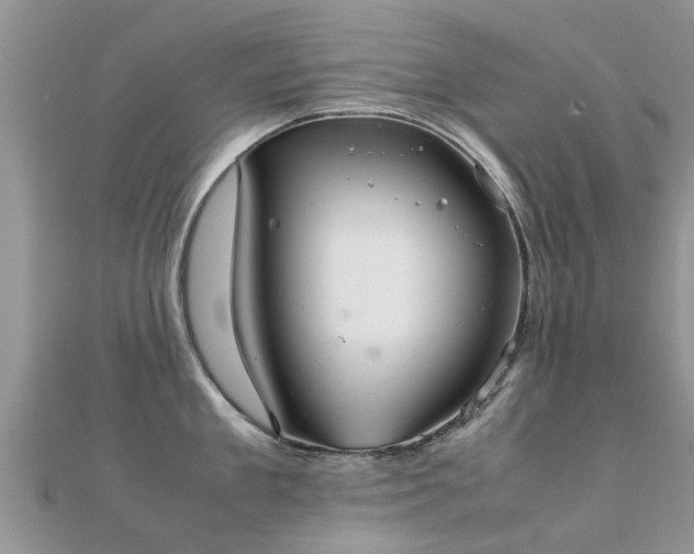 X0000112070909200908111430