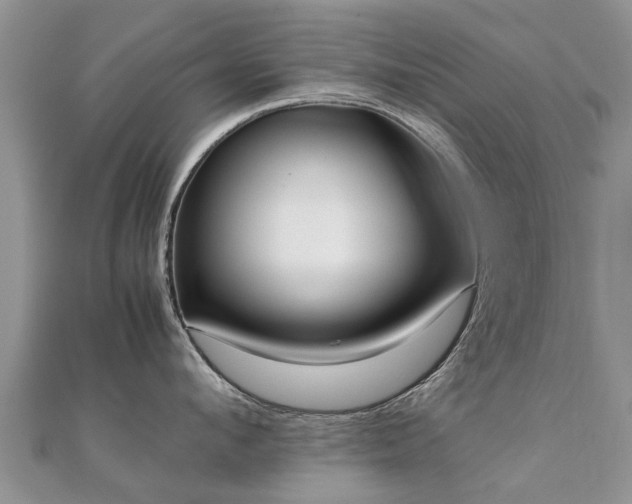 X0000112070912200908111430