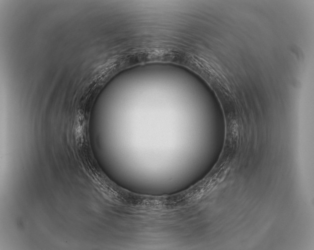 X0000112070914200908111429