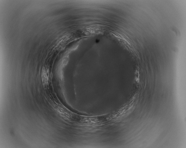 X0000112070915200908111429