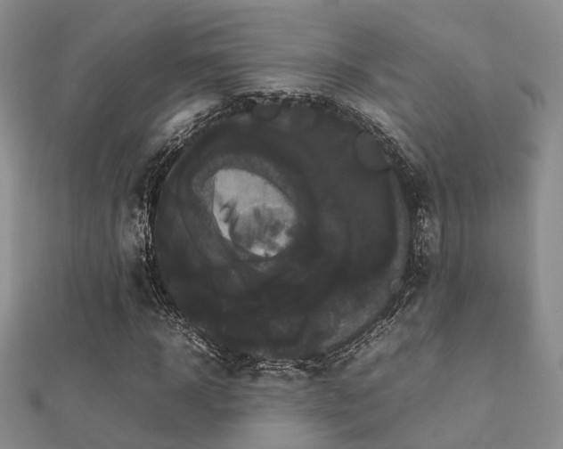 X0000112070918200908111430