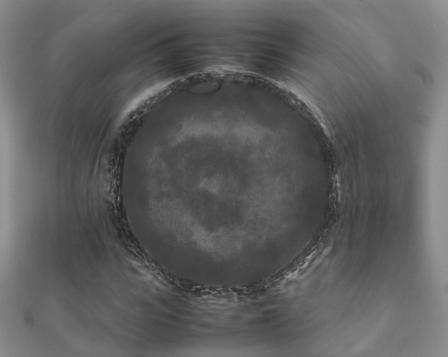 X0000112070919200908111430