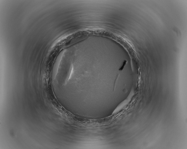 X0000112070920200908111430