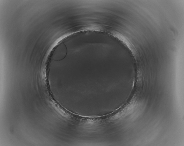 X0000112070923200908111430