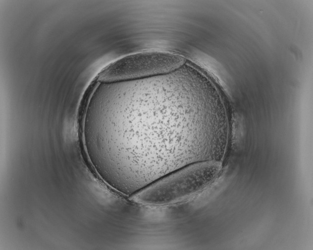 X0000112070924200908111430