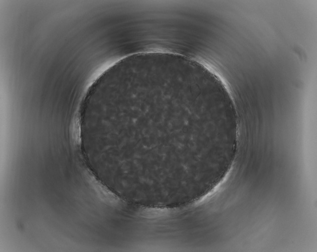 X0000112070925200908111430