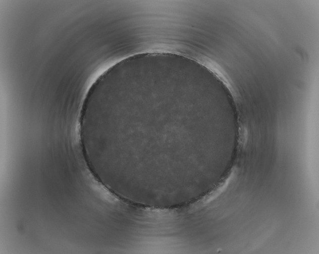 X0000112070928200908111430