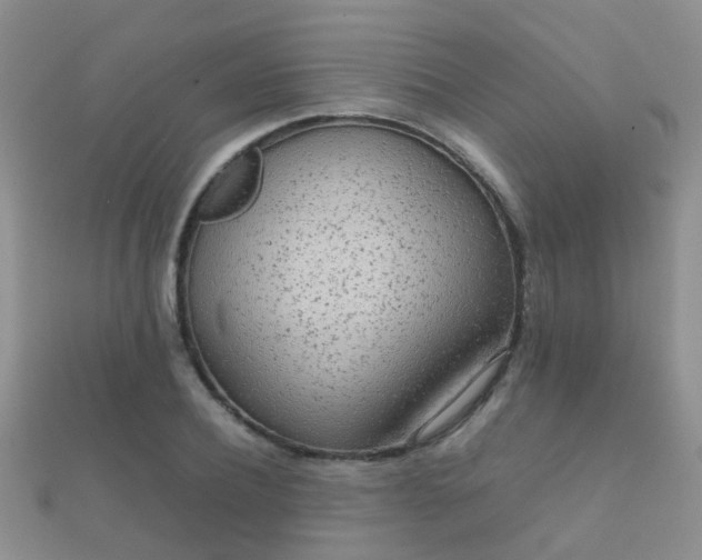 X0000112070932200908111430