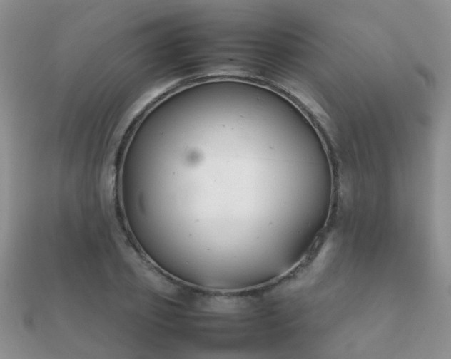 X0000112070933200908111430