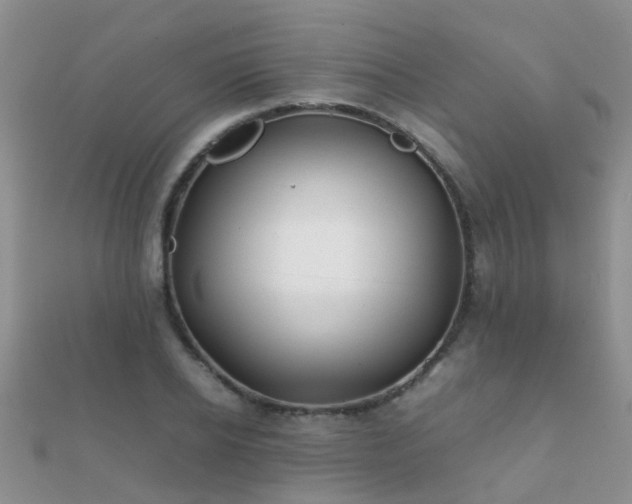 X0000112070934200908111430