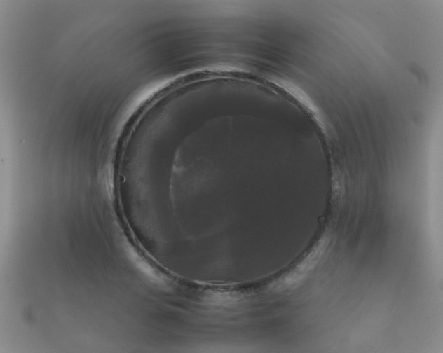 X0000112070935200908111430