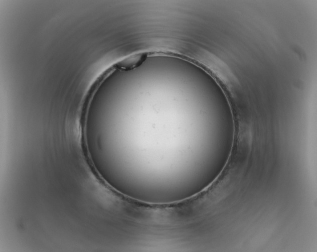 X0000112070936200908111430