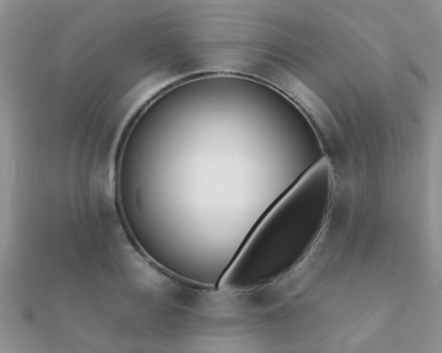 X0000112070940200908111430