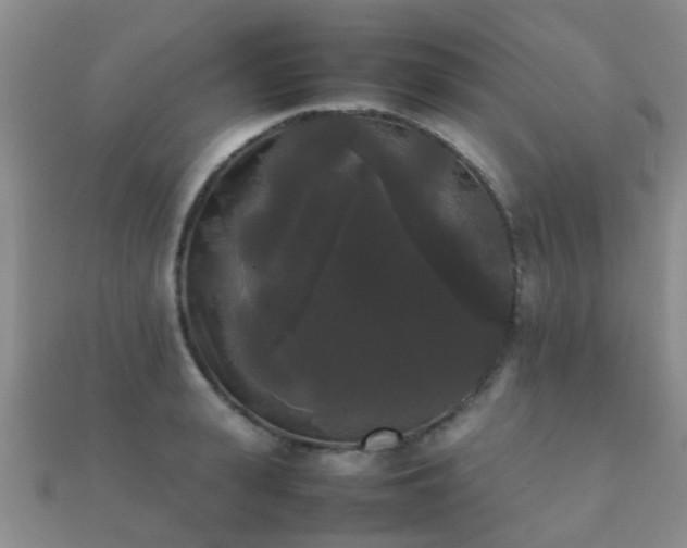 X0000112070943200908111430