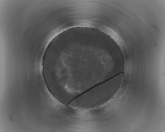 X0000112070944200908111430