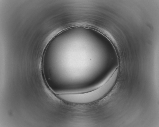 X0000112070946200908111430