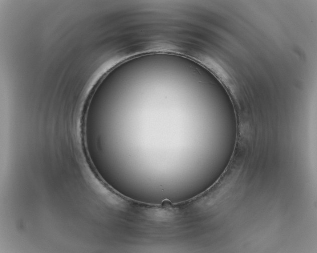 X0000112070947200908111430