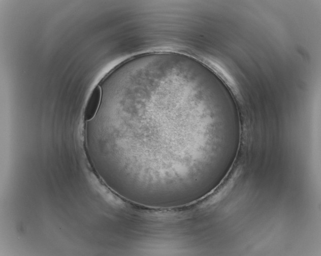 X0000112070948200908111430