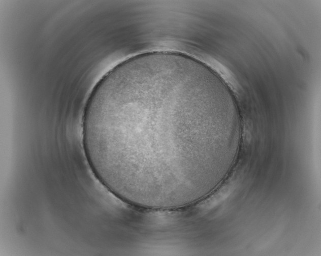 X0000112070950200908111430