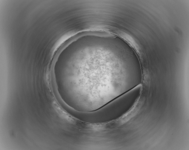 X0000112070952200908111430