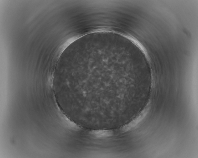 X0000112070953200908111430