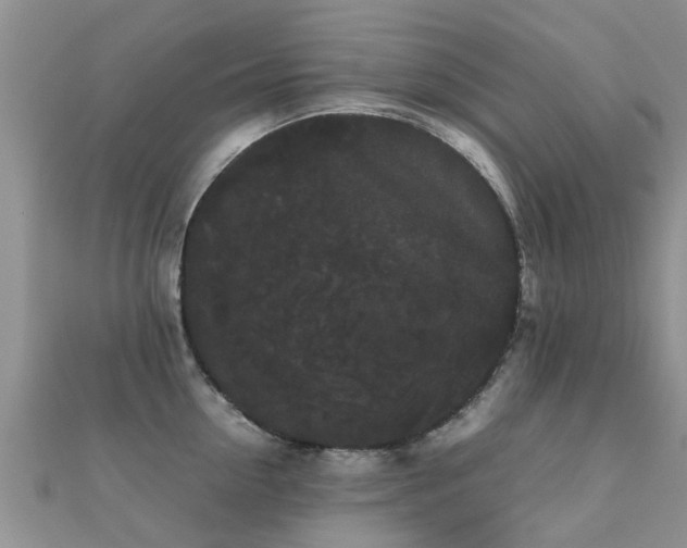 X0000112070954200908111430