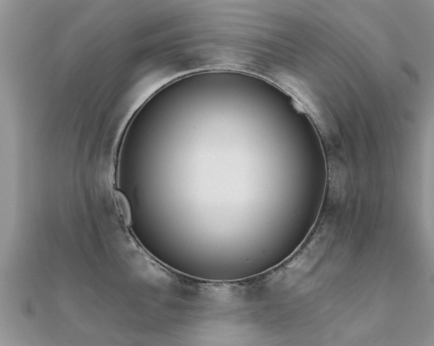 X0000112070956200908111430