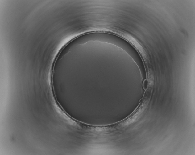 X0000112070958200908111430