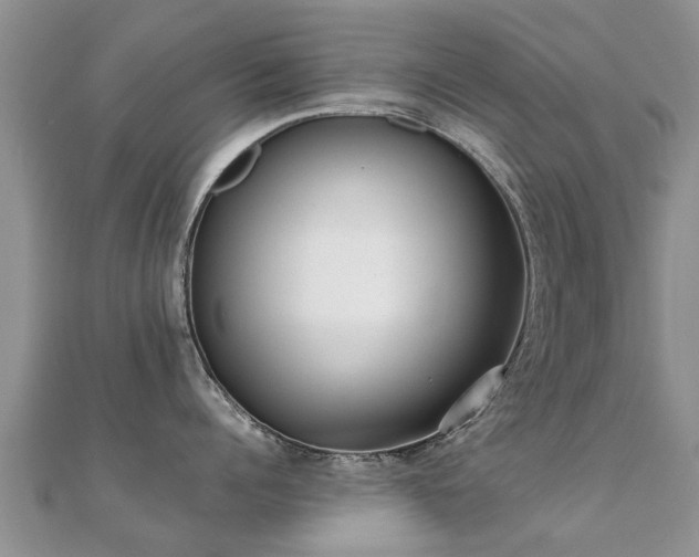 X0000112070960200908111430