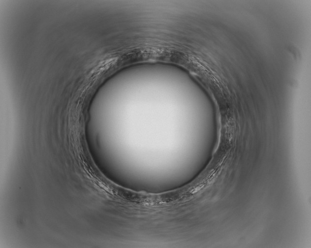 X0000112070961200908111429