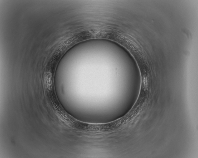 X0000112070963200908111429