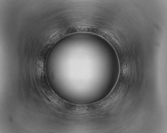 X0000112070964200908111429