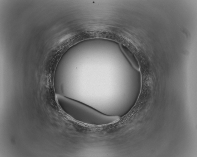 X0000112070965200908111429