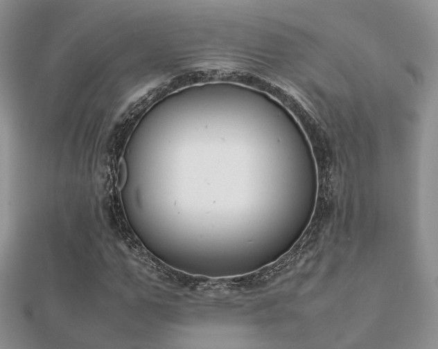 X0000112070967200908111429