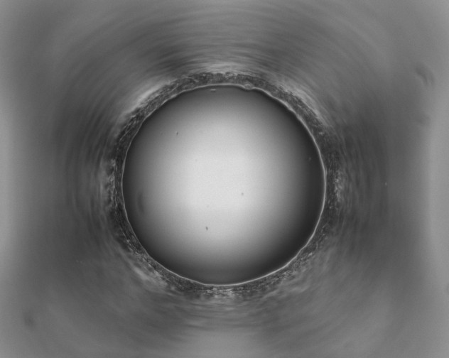 X0000112070968200908111429