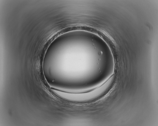 X0000112070969200908111429