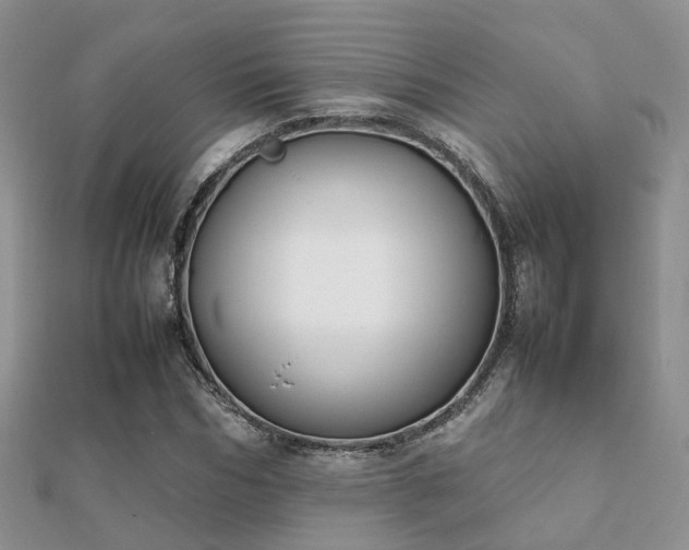 X0000112070970200908111429