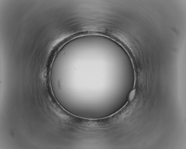 X0000112070971200908111429