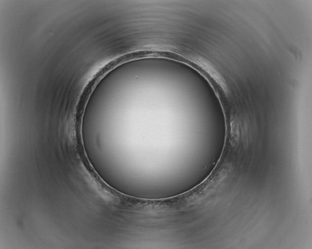 X0000112070972200908111429