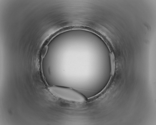 X0000112070973200908111429