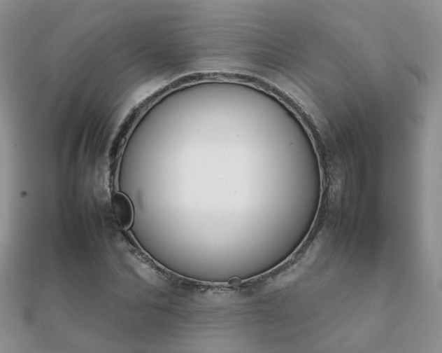 X0000112070974200908111429