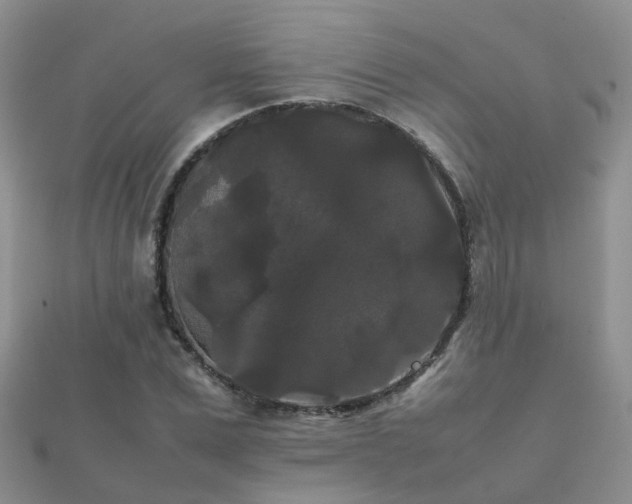 X0000112070975200908111429