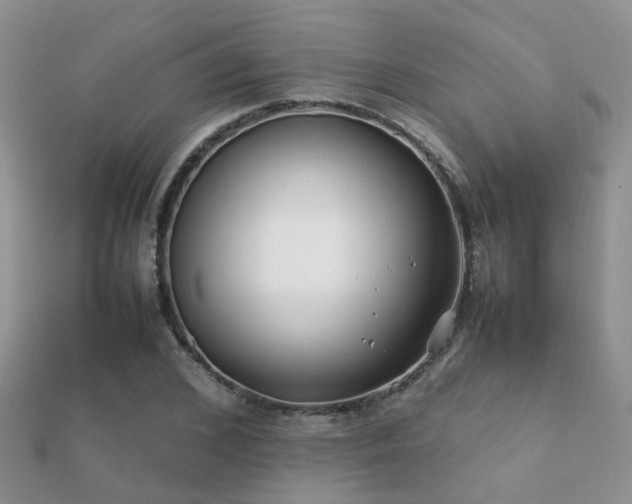 X0000112070976200908111429