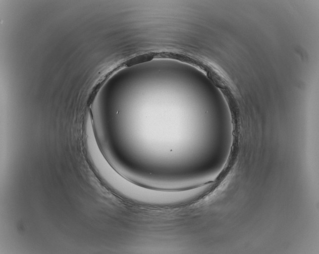 X0000112070977200908111429