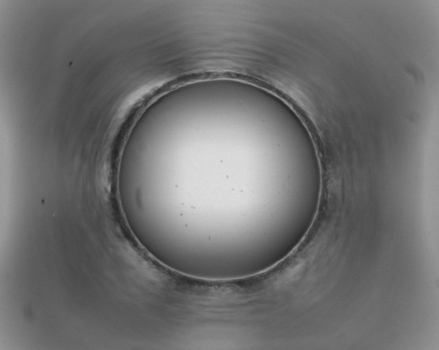 X0000112070979200908111429