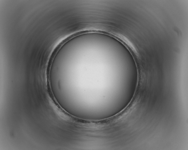 X0000112070980200908111429